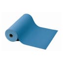 ACL Staticide Inc 6683060
