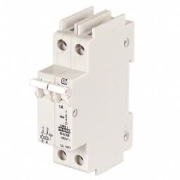 American Electrical Inc. C1A2P
