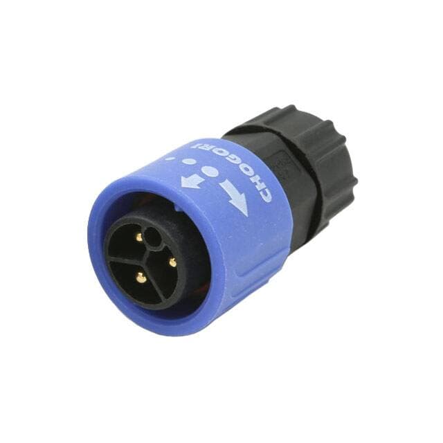 Chogori Technologies Inc. 23003131-02