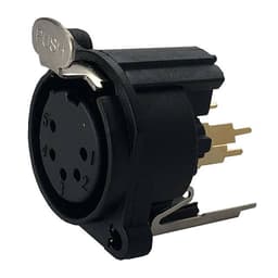 IO Audio Technologies IO-XLR5-F-EV