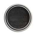 ADI DS1921G-F5#