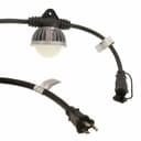 MOLEX 1301110101