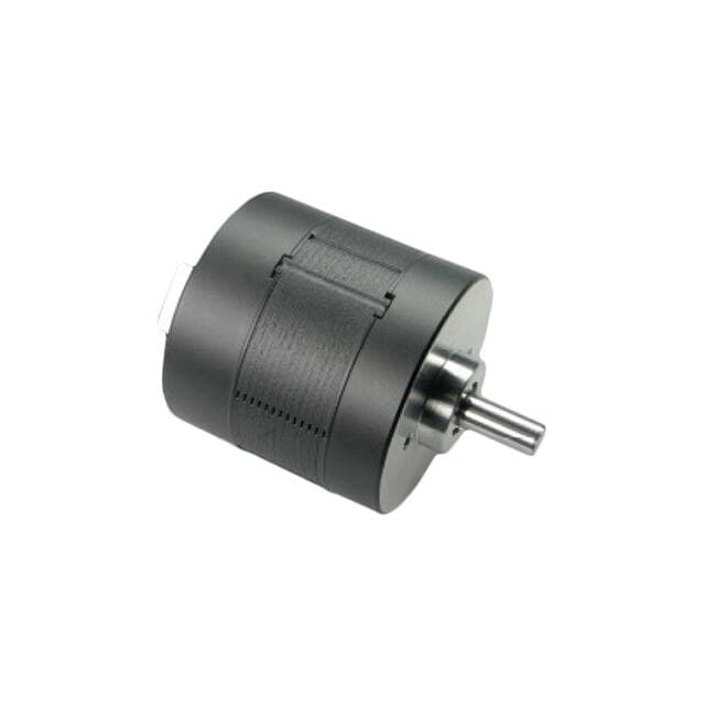 NMB Technologies Corporation BLDC36P16A