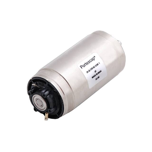 Portescap 30GT2R82-234E.4