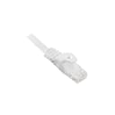Quest Technology International Inc. NPC-1800