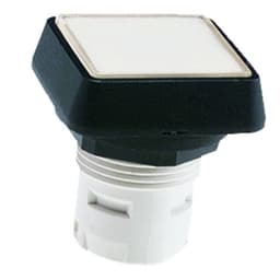 RAFI USA 1.30070.5010000