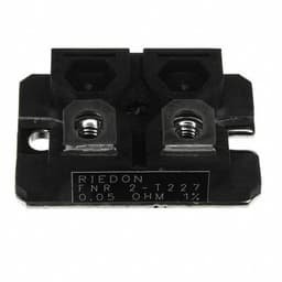 FNR2E-0R015F1Riedon