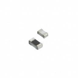 Susumu RG1005P-1071-B-T5
