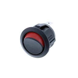 Switch Components RA1-1A-DC-2-R