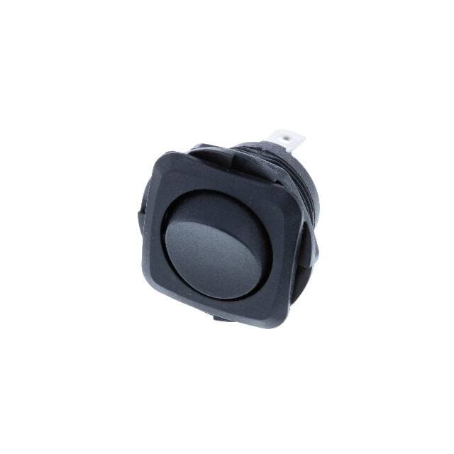 Switch Components RB1-1G-DC-2-B