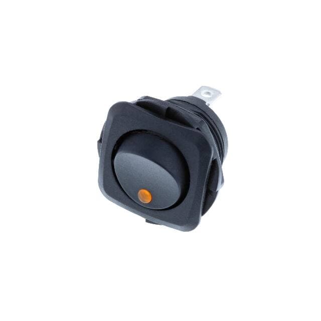 Switch Components RB2-1A-DC-2-AL