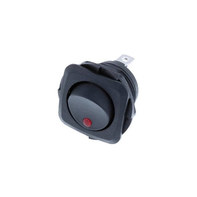 Switch Components RB2-1A-DC-2-RL