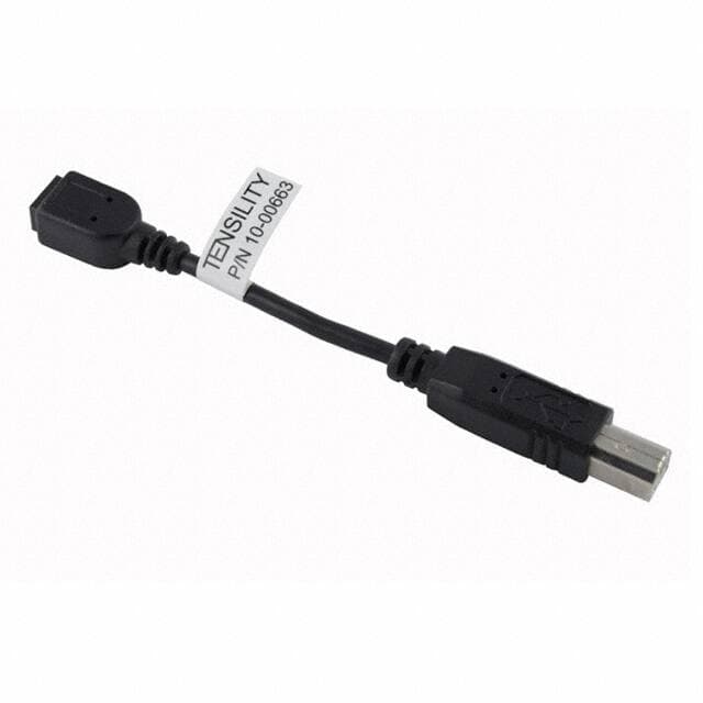Tensility International Corp 10-00663