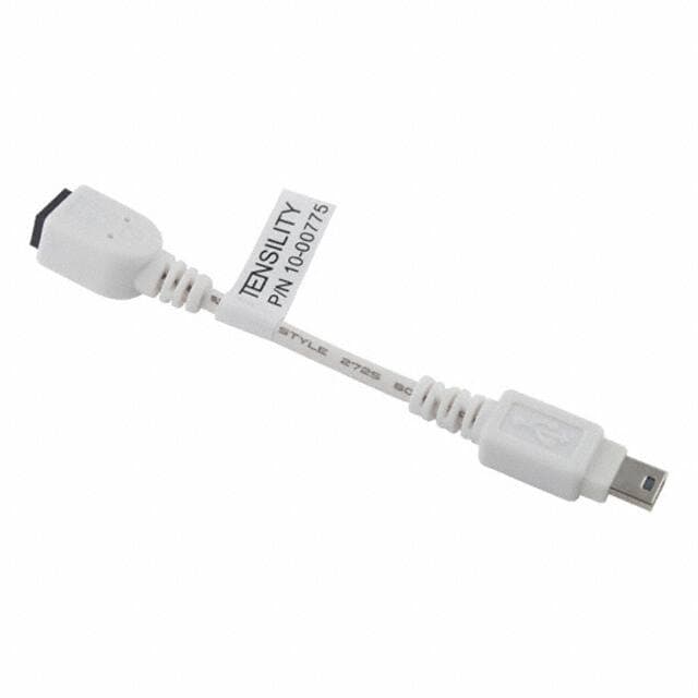 Tensility International Corp 10-00775