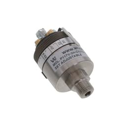 Whitman Controls, LLC P117V-3H-C52TS-DIS