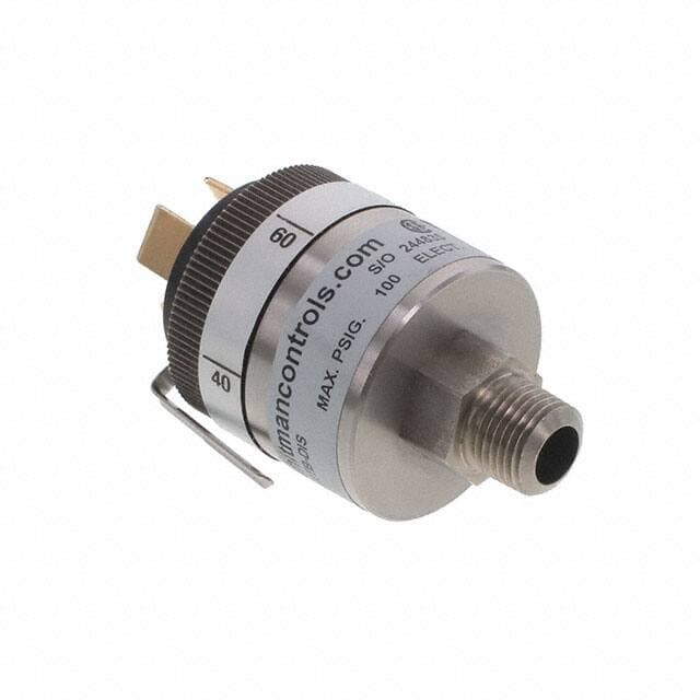 Whitman Controls, LLC W117G-10H-C12TB-DIS