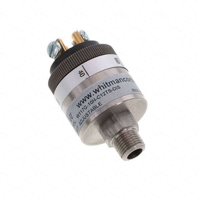 Whitman Controls, LLC W117G-10H-C12TS-DIS