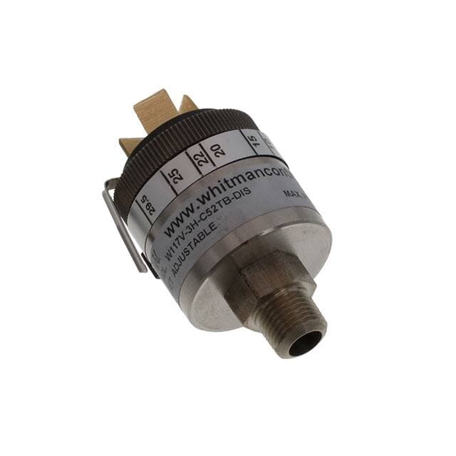 Whitman Controls, LLC W117V-3H-C52TB-DIS