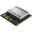 RF Digital Corporation RFD22302