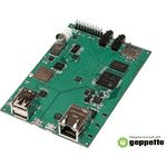 PKG300100